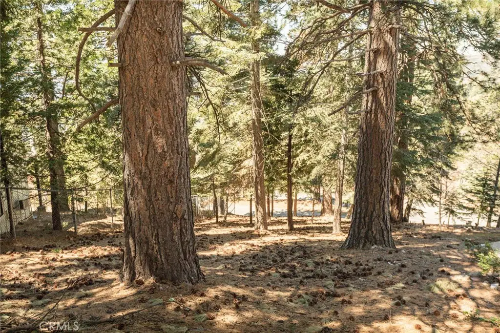 30908 Glen Oak, Running Springs, CA 92382 - #1