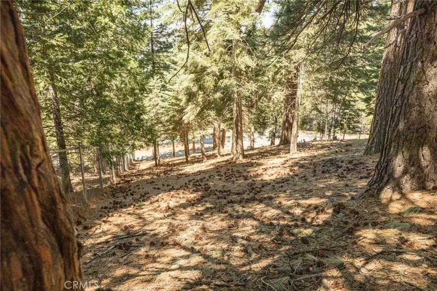 30908 Glen Oak, Running Springs, CA 92382 - #2