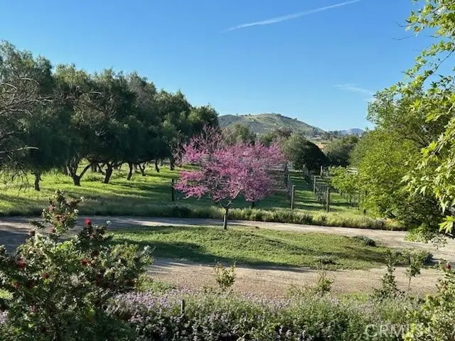 820 Santa Fe Highlands Dr, Ramona, CA 92065 - #3