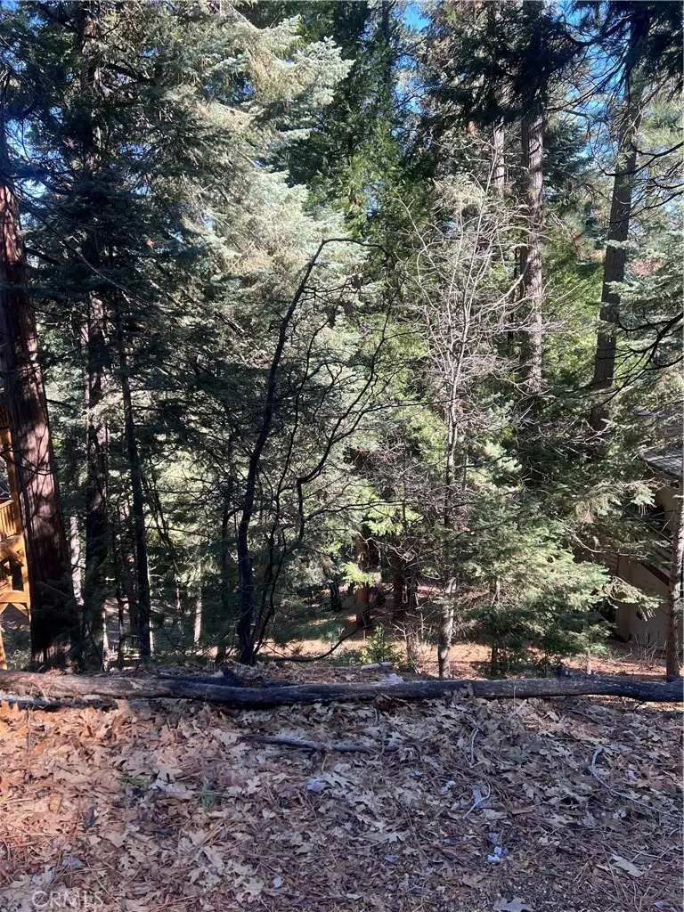 0 Forest, Twin Peaks, CA 02391 - #1