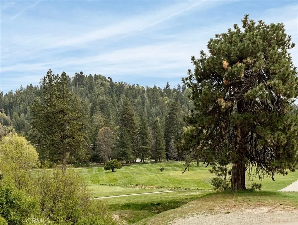 128 Brentwood Drive, Lake Arrowhead, CA 92352 - #1