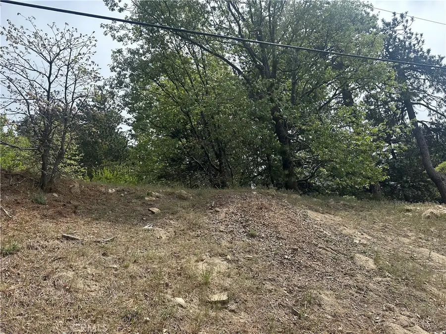 0 Deer Lick Lane, Running Springs, CA 92382 - #2