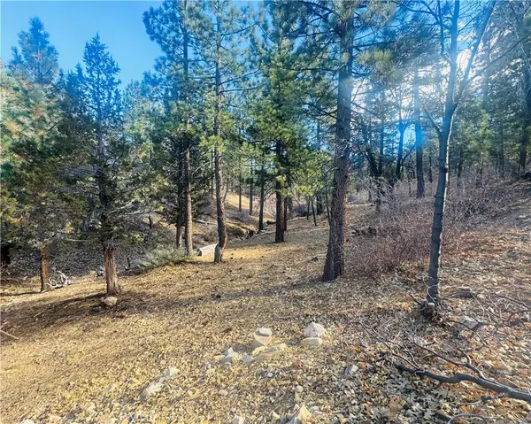 899 Kern Avenue, Sugarloaf, CA 92386