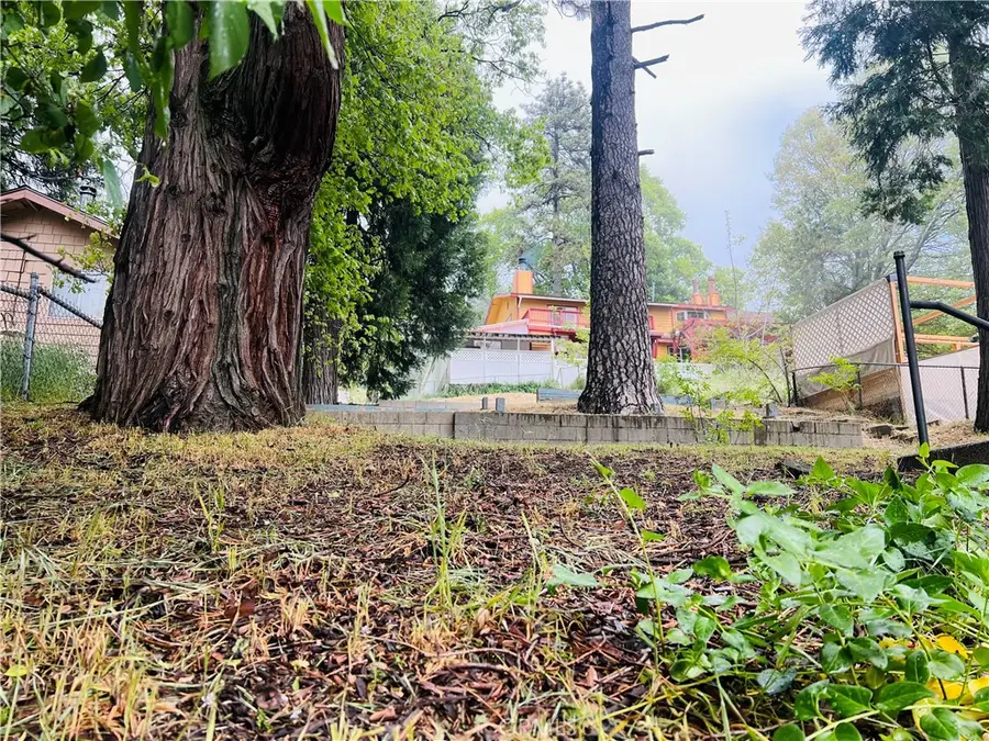 23798 Springwater Road, Crestline, CA 92325 - #2