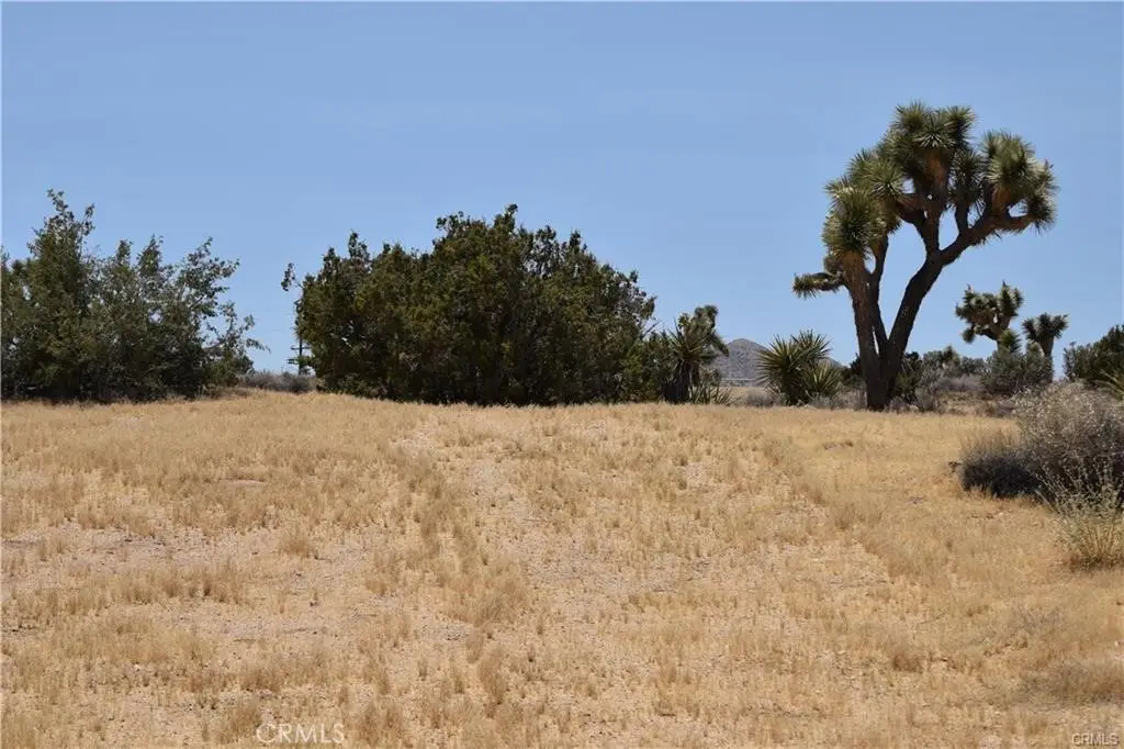 0 Palomar, Yucca Valley, CA 89121 - #1