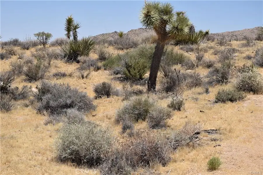 0 Palomar, Yucca Valley, CA 89121 - #2