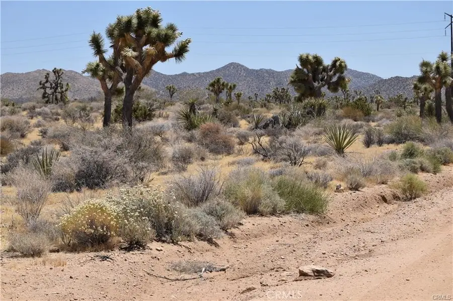 0 Palomar, Yucca Valley, CA 89121 - #3