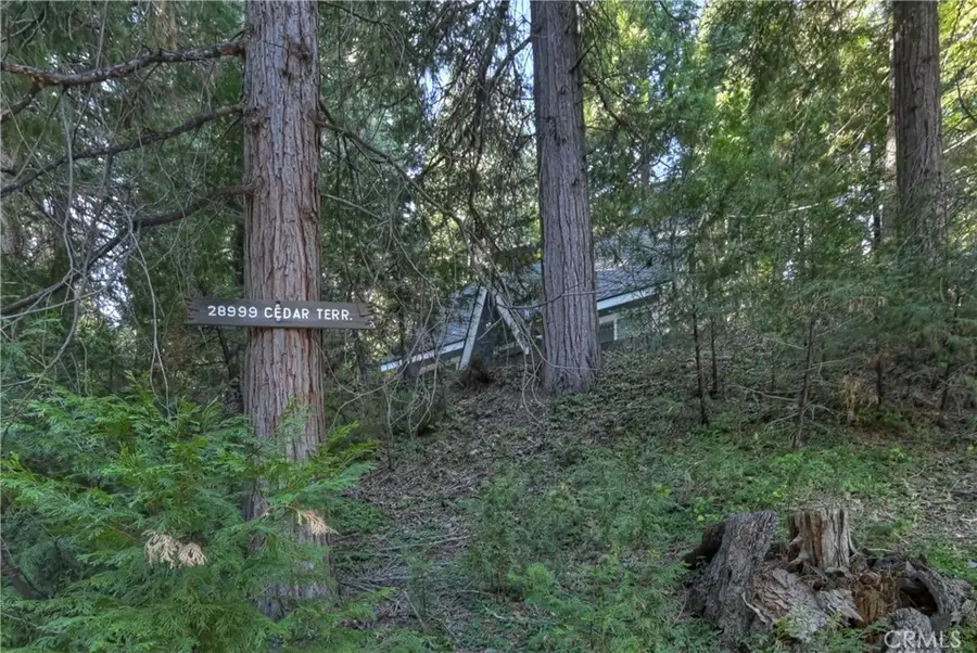 28999 Cedar Terrace, Cedar Glen, CA 92321 - #3