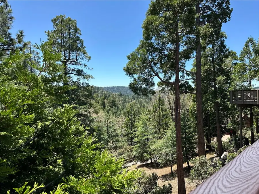 366 Rainier Road, Lake Arrowhead, CA 92352 - #3