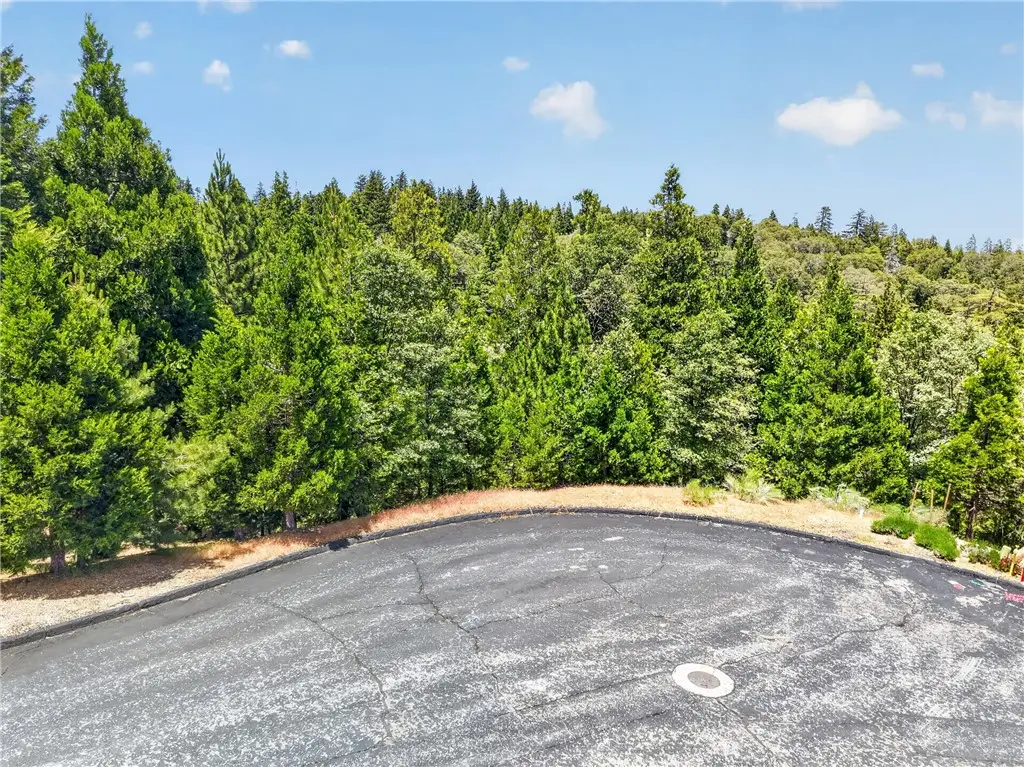 372 Redtail Hawk, Lake Arrowhead, CA 92352 - #1