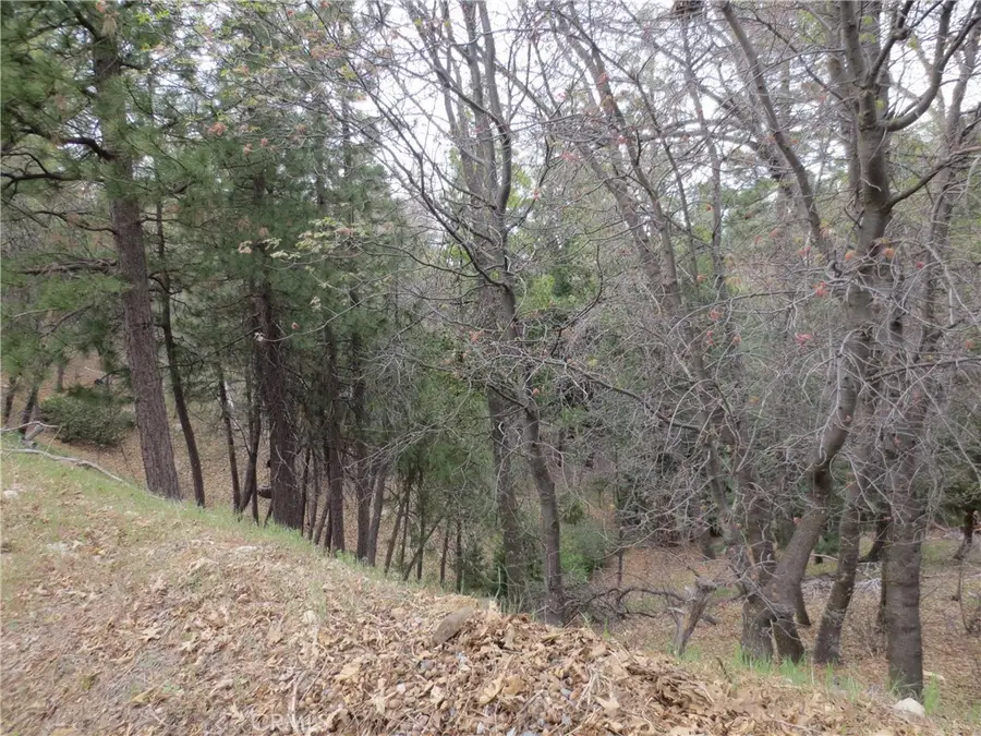 0 Ca-173, Lake Arrowhead, CA 92352 - #3