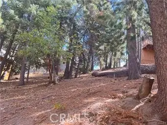 0 Encina, Running Springs, CA 92382 - #1