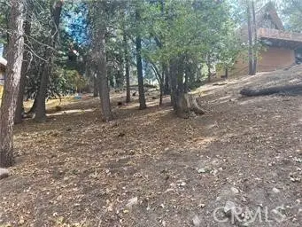 0 Encina, Running Springs, CA 92382 - #2