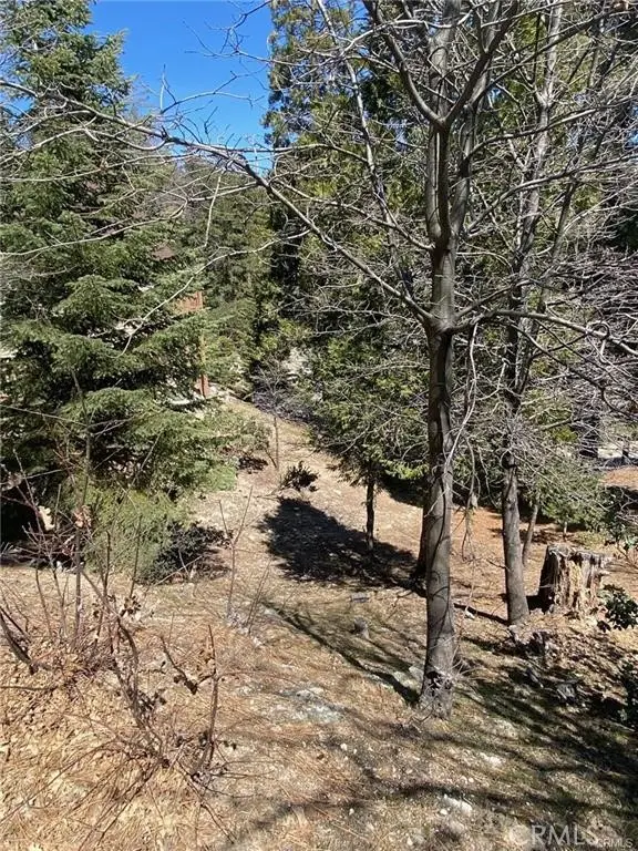 0 Circle, Lake Arrowhead, CA 92323 - #1