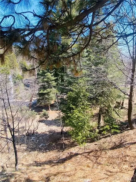 0 Circle, Lake Arrowhead, CA 92323 - #2
