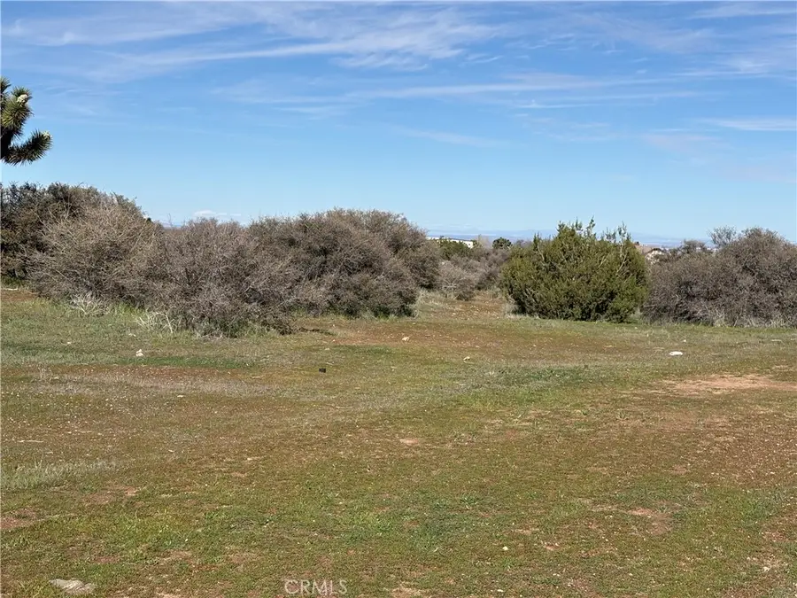 8350 Cedar, Phelan, CA 92371 - #3