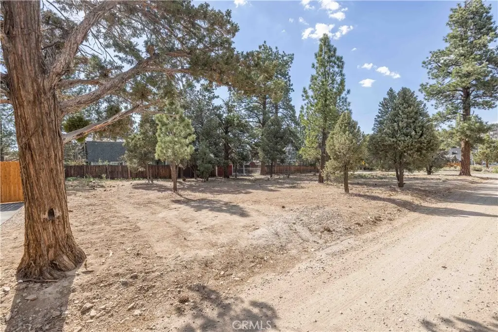 909 Ash Lane, Big Bear City, CA 92314 - #1