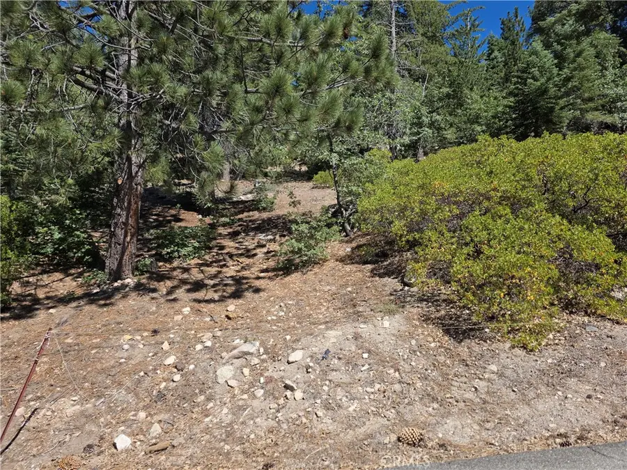 2419 Pine Drive, Running Springs, CA 92382 - #2