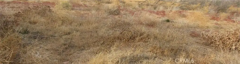 0 043-330-01-07-5 Twisselman Road, Lost Hills, CA 93249 - #1