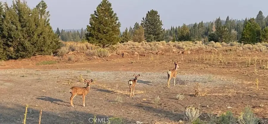 0 Bobcat Drive, Alturas, CA 96101 - #2