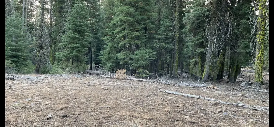 0 Bobcat Drive, Alturas, CA 96101 - #3