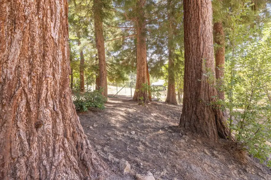 2383 Secret, Running Springs, CA 92382 - #2