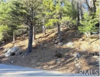 0 Thunderbird, Lake Arrowhead, CA 92352 - #2