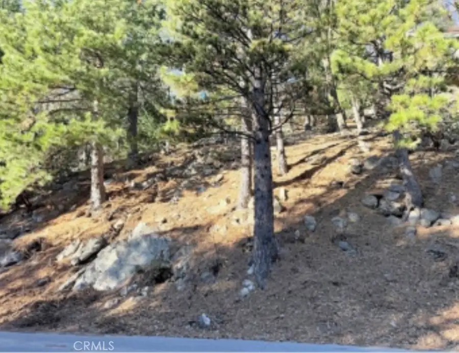 0 Thunderbird, Lake Arrowhead, CA 92352 - #3