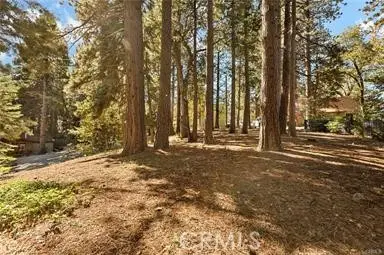 0 Valley View, Running Springs, CA 92382 - #2
