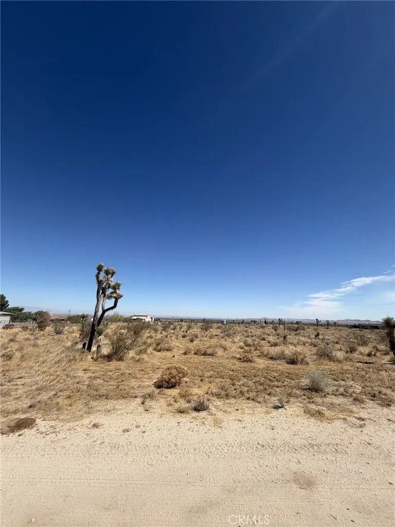 0 101 Ave W-4, Pearblossom, CA 93553 - #1