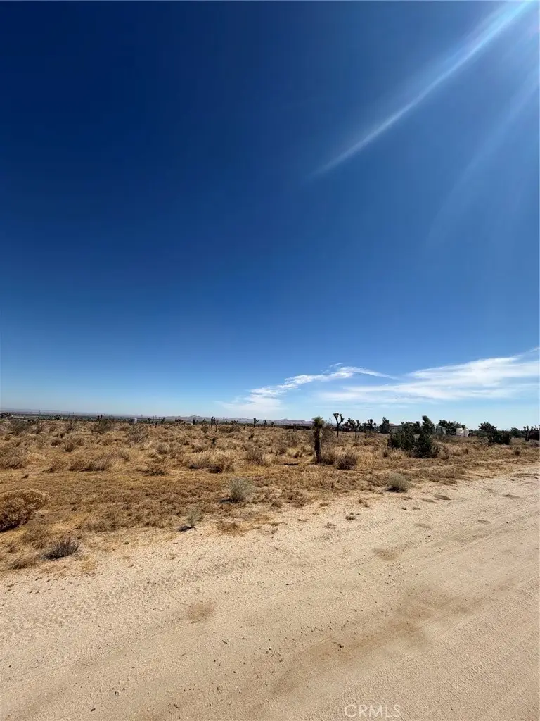 0 101 Ave W-4, Pearblossom, CA 93553 - #3
