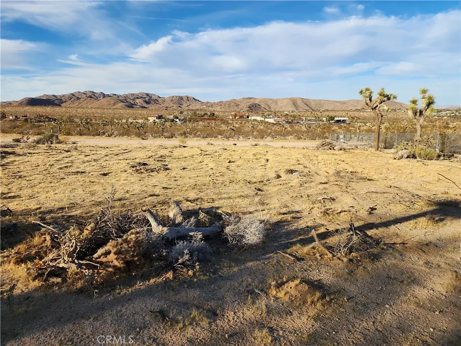 61329 Rocky Vista Lane, Joshua Tree, CA 92252 - #2