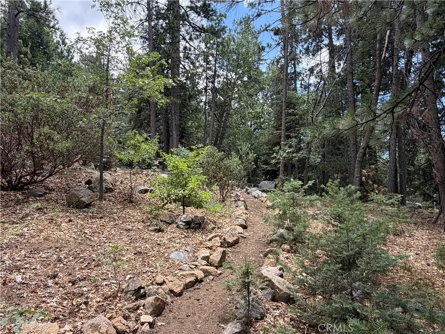 6212 Oak Avenue, Angelus Oaks, CA 92305 - #3