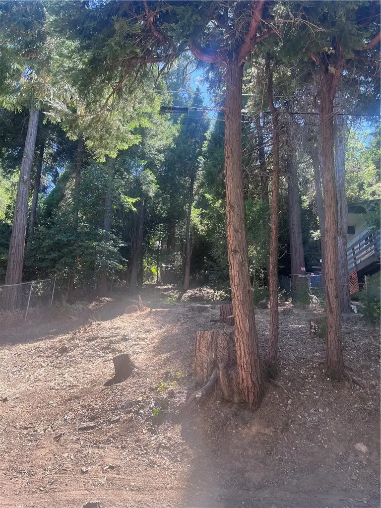 760 Woodland, Crestline, CA 92325 - #1