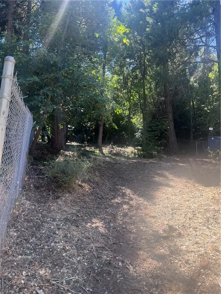 760 Woodland, Crestline, CA 92325 - #3
