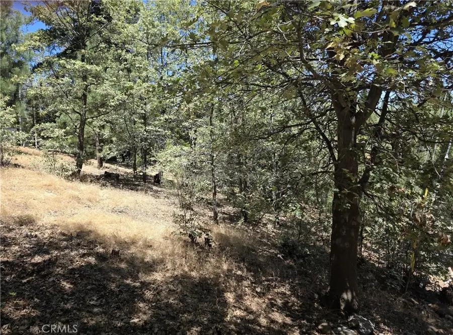 28276 Arbon, Lake Arrowhead, CA 92352 - #2