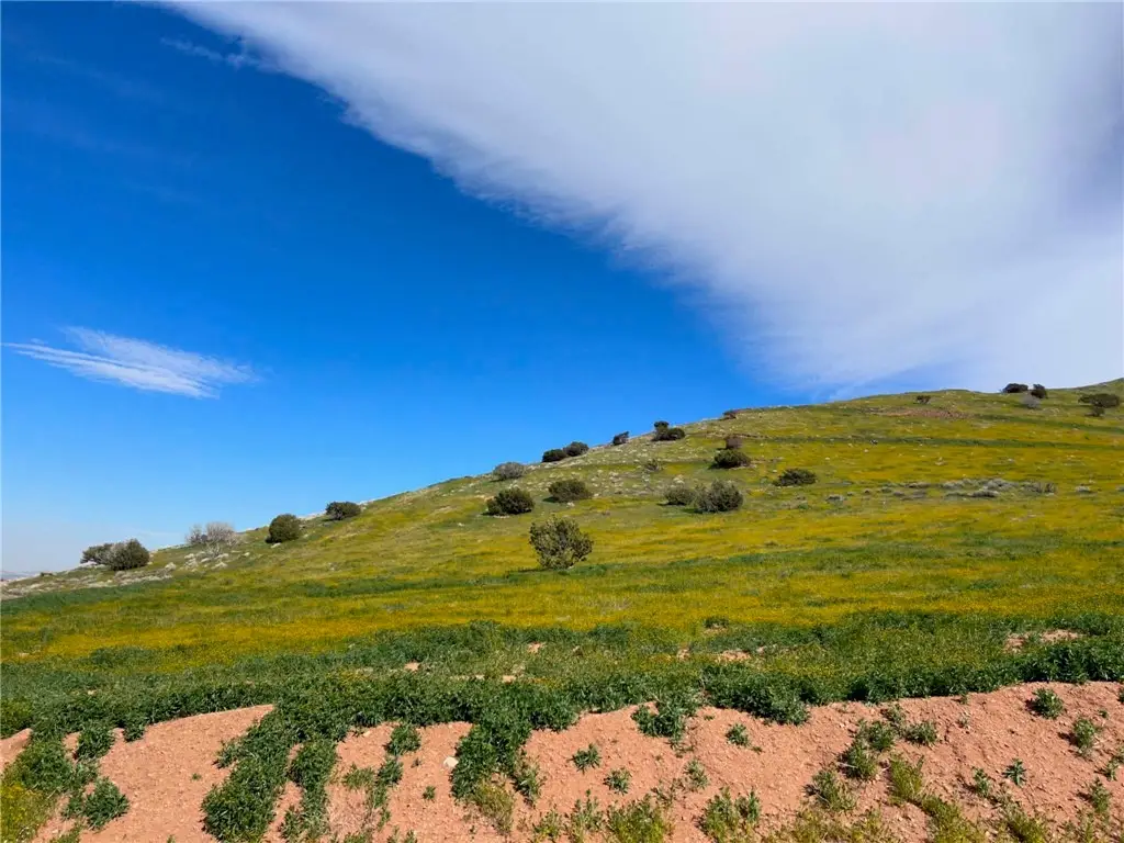 0 Oreo Lane, Acton, CA 93510 - #1