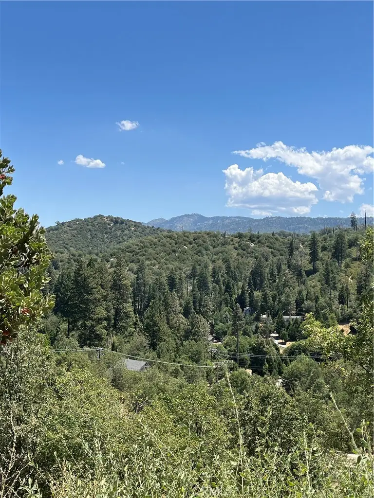0 Hill Drive, Cedar Glen, CA 92321 - #1
