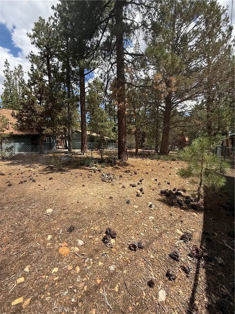 569 Victoria Lane, Sugarloaf, CA 92386 - #1