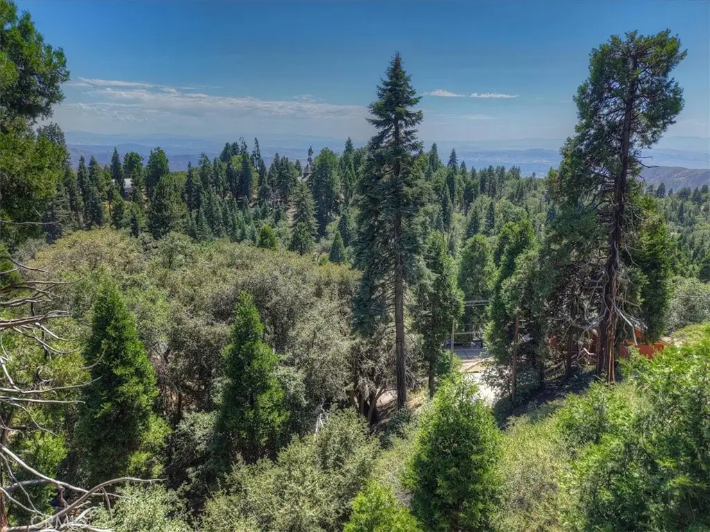 31070 Old City Creek, Running Springs, CA 92382 - #1