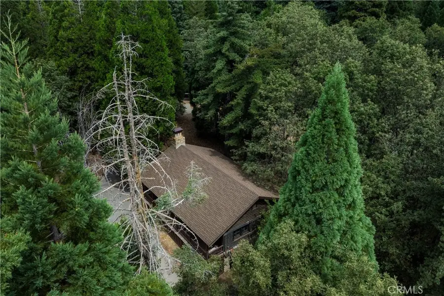 28879 Sycamore Drive, Skyforest, CA 92385 - #2