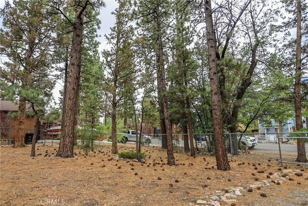 620 Pine, Sugarloaf, CA 92386 - #1