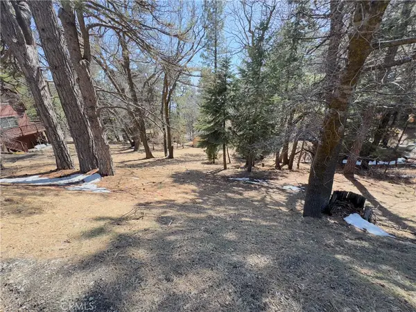 0 Ca-18, Running Springs, CA 92382
