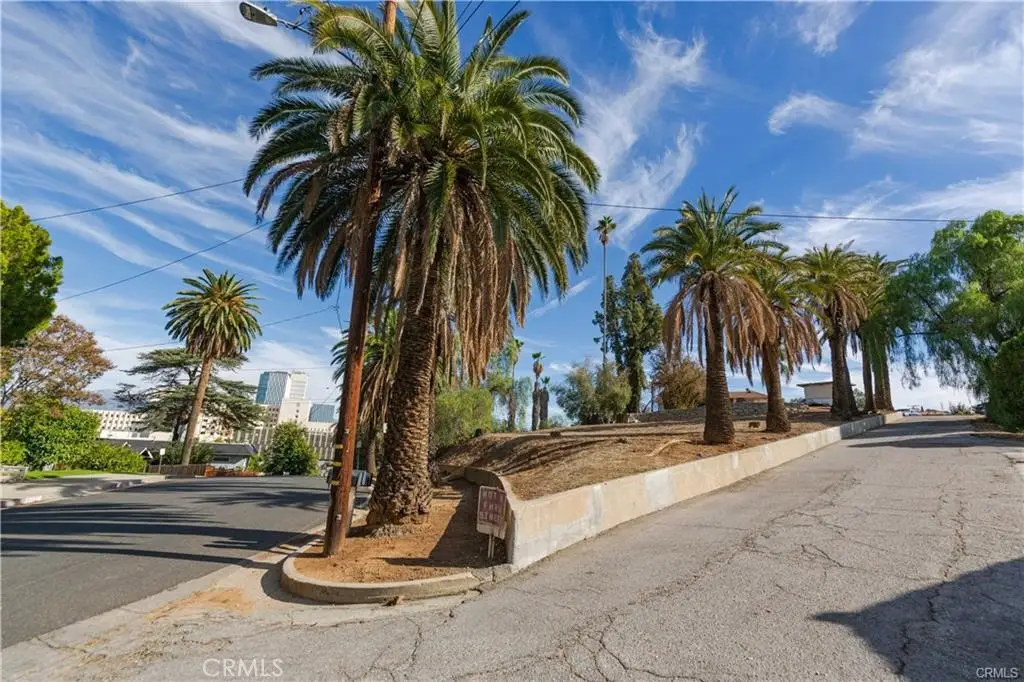 0 San Juan, Loma Linda, CA 92354 - #1