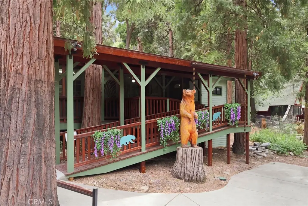 40951 Pine Drive, Forest Falls, CA 92339 - #1