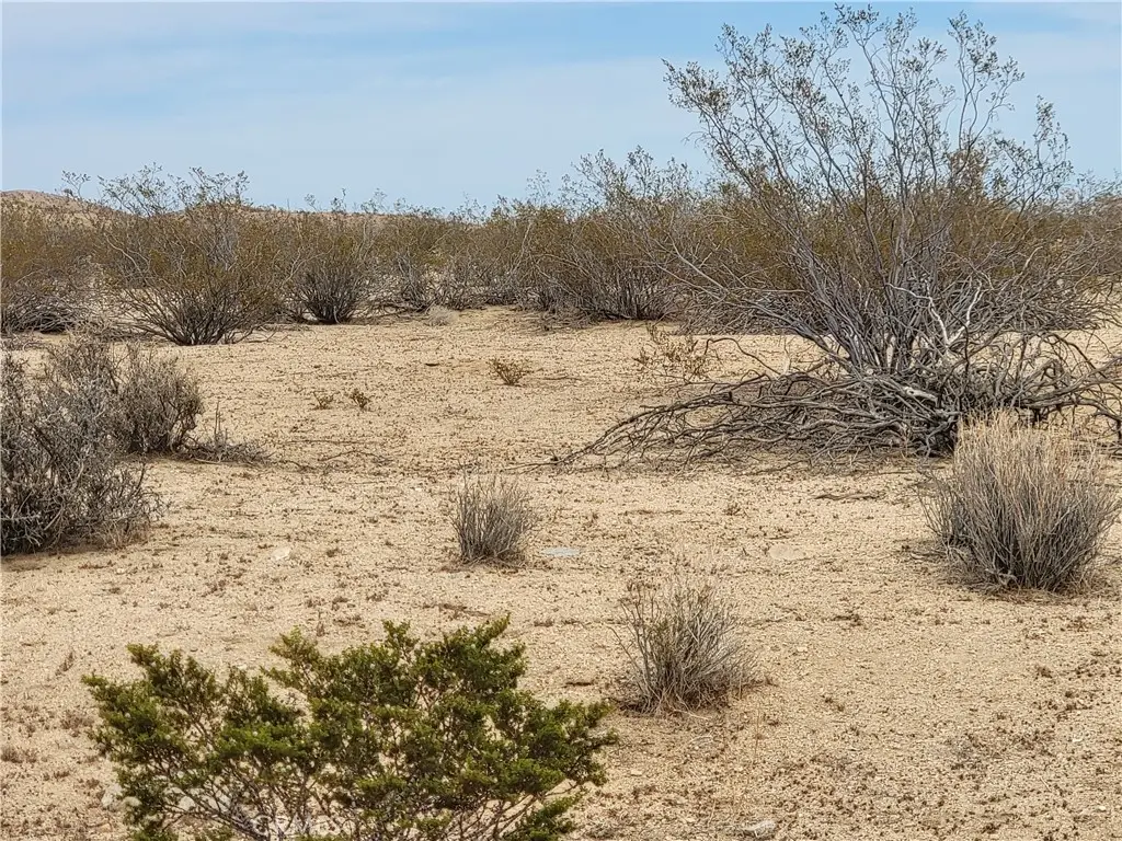 0 Sheila Drive, California City, CA 93505 - #1