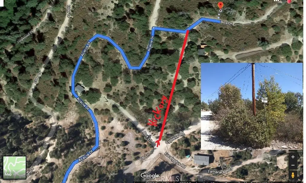 0 Hickory Drive, Cedar Glen, CA 92321 - #1