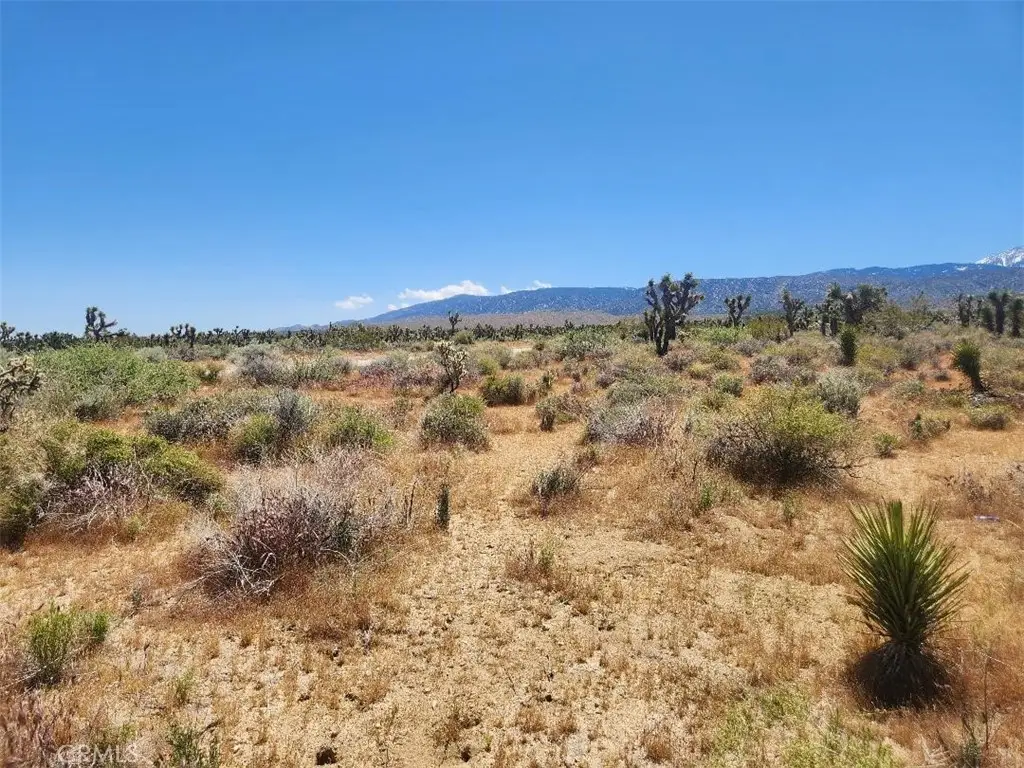 0 Ave X6 212 Street, Llano, CA 93544 - #1