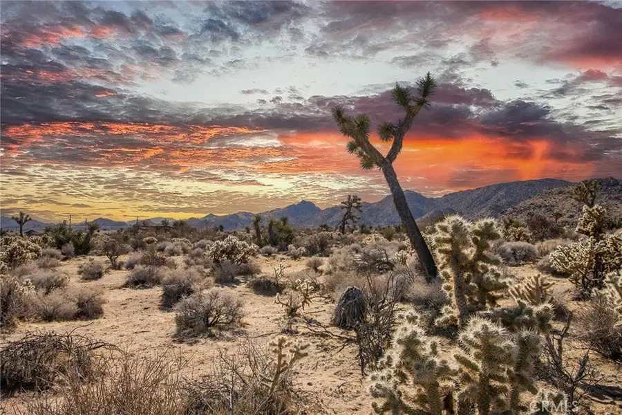 0 Onaga Trail, Joshua Tree, CA 92252 - Image #3