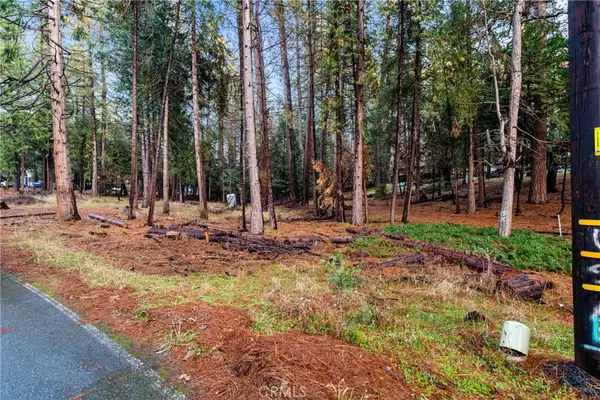 1 Old Madrone Road, Pioneer, CA 95666